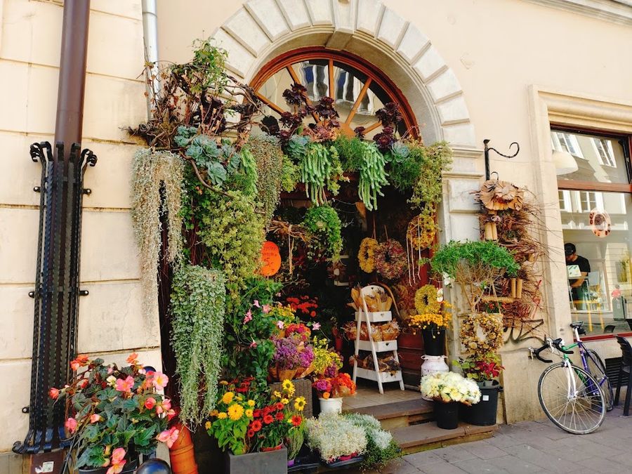 Floristica, ul. Szewska 16, 31-009 Kraków